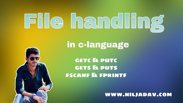 File Handling In C | programs and examples for file handling in c | c language file handling with examples | niljadav  